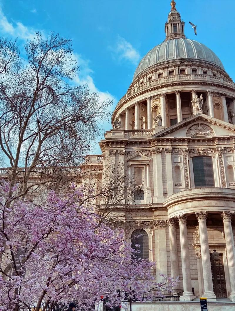 卡内基梅隆大学